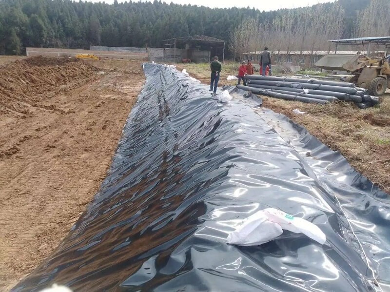 HDPE Pond Liner Used In Marine Shrimp Pond Breeding Projects 4