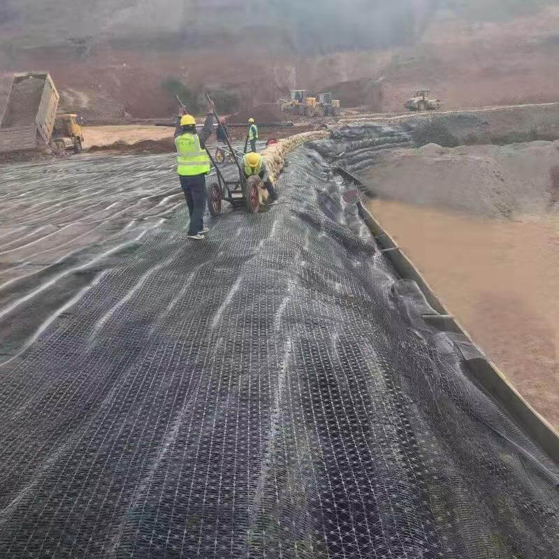 Application of Geogrid in Yinxi High Speed Railway